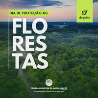 A Importância do Dia de Proteção às Florestas