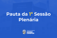 Pauta 1ª Sessão Ordinária da 1ª Quinzena do mês de Fevereiro de 2022 da 2ª Sessão Legislativa da 7ª Legislatura